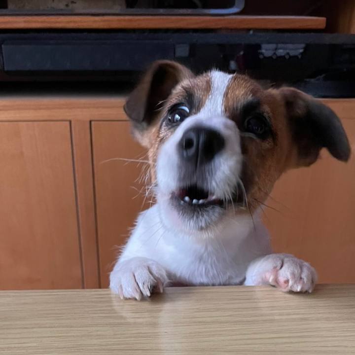 8b29eecb 1741 4cc5 a69e 62fd528fcbaf 1620529449773