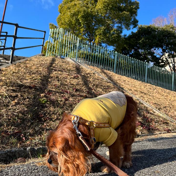 8b29fd74 4a27 4c02 81a3 ec109625bd13 1737850725330