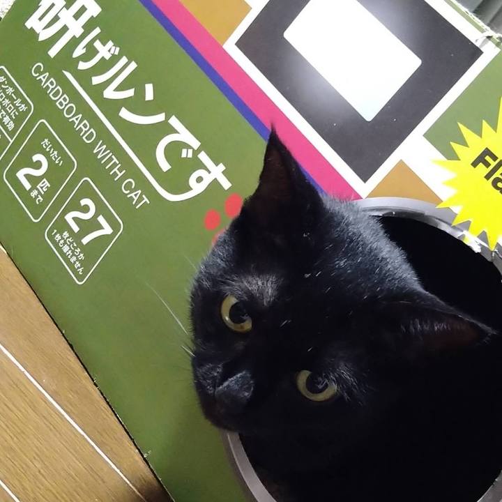 8b2a4575 0304 4054 9650 ea069e8b0173 1660737518450