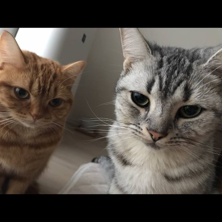 8b2a62a5 3365 4c08 ae0e f2be1031557b 1508653048911