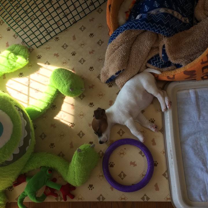 8b2abcd6 3ec7 4a62 a65c c702a56be61f 1510017678807