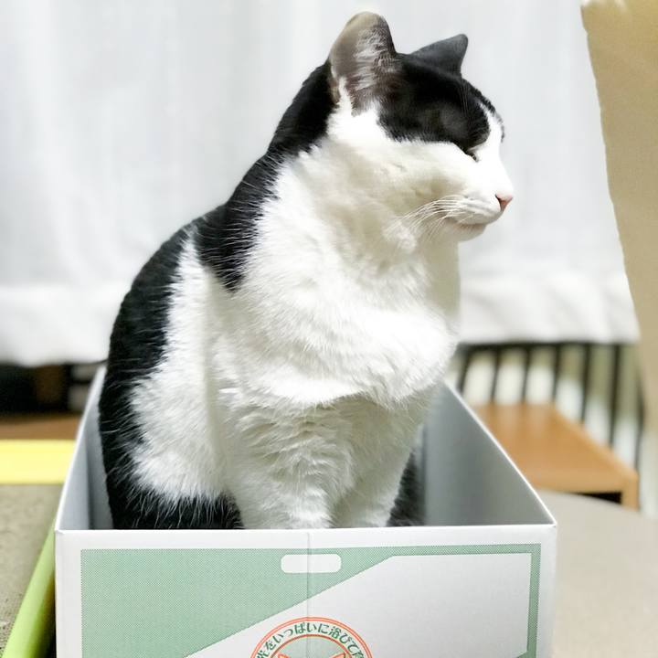 8b2b3bf8 6a4a 4ce1 b5a6 624eb00a4ae3 1515415273192