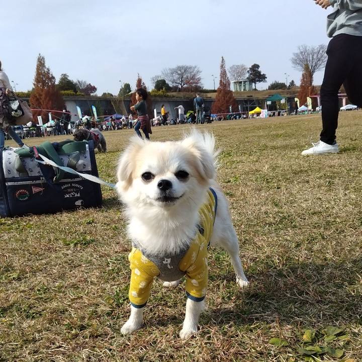 8b2b3faf 591c 479f 9dc4 b30cb01e59ff 1637504643188