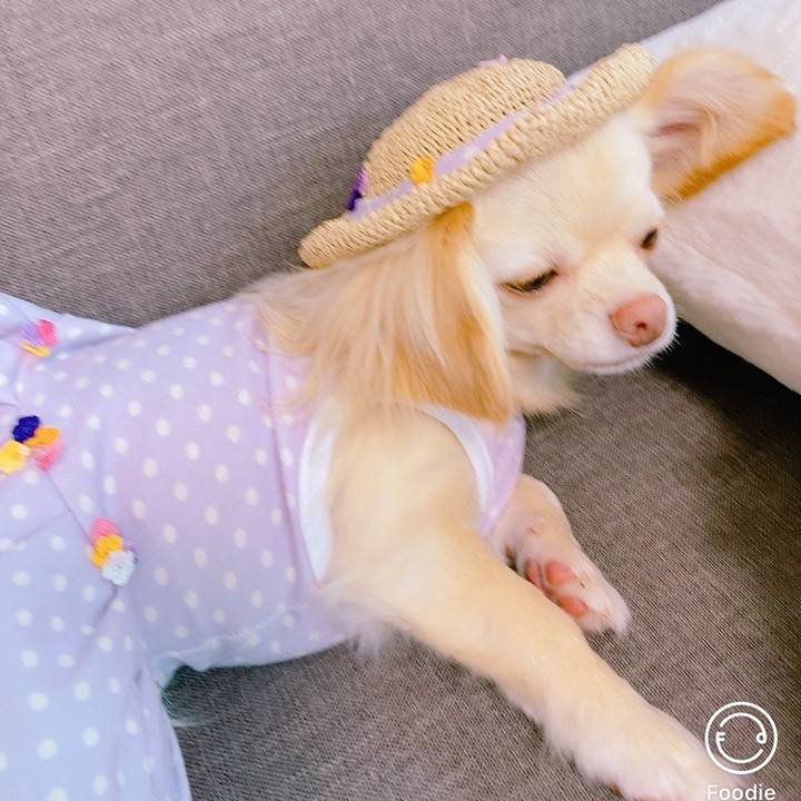 8b2b77f3 56bd 421a a2f5 33c8c44db7db 1623309472056