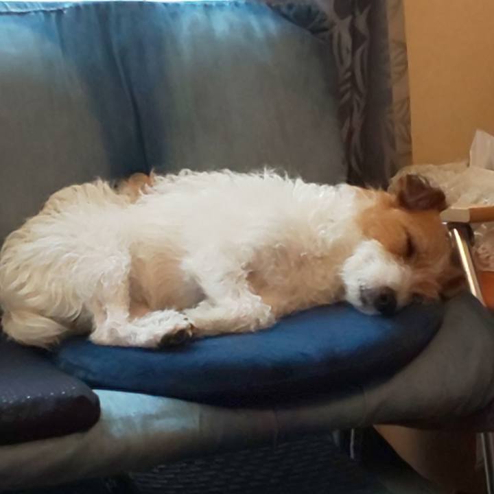 8b2b8261 d919 4691 aab5 7457a6bbb6fa 1628476028940