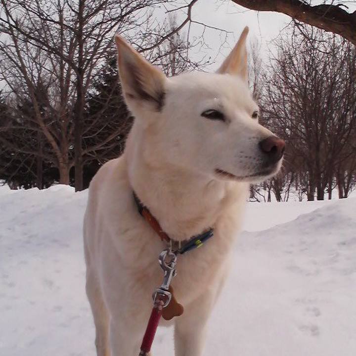 8b2be9e0 c2f4 4d4b 92f8 f4c2d65fc5ed 1544614417215