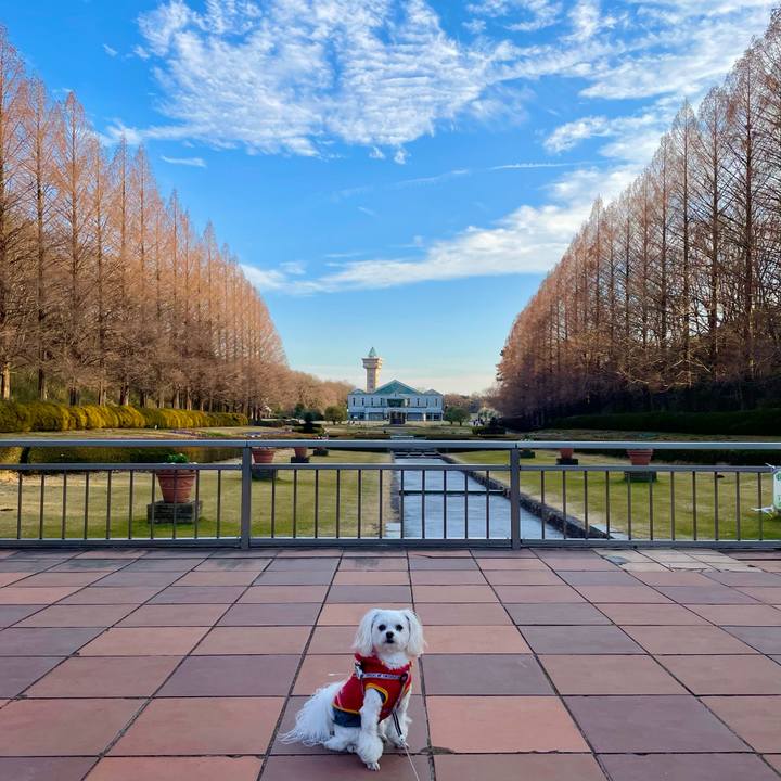 8b2bed89 e656 4436 83ae 676c341560d6 1643446068562