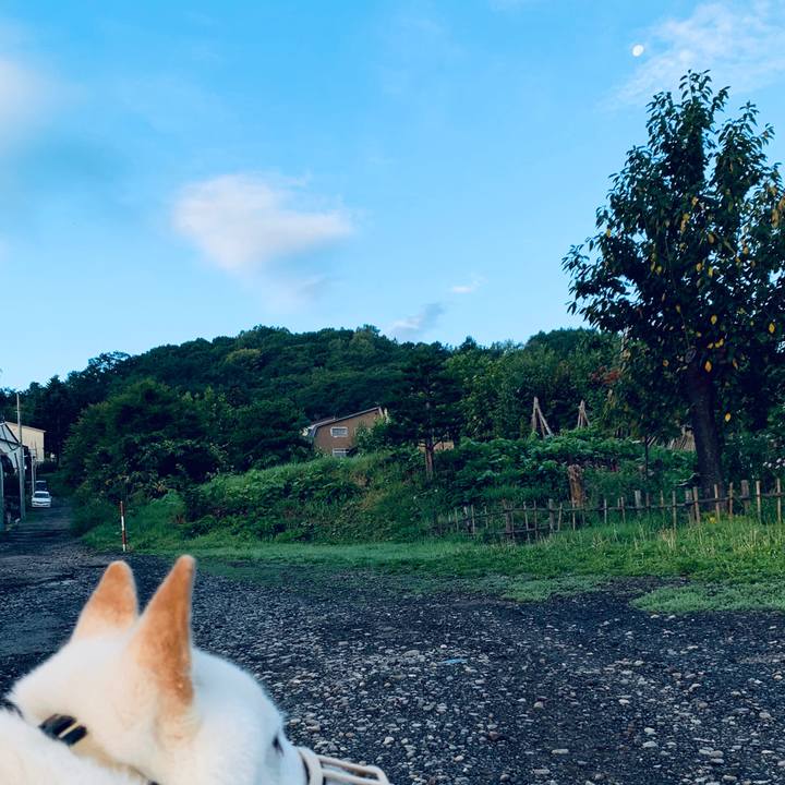 8b2bfebf 74d8 435f 9f18 6092a281b682 1599341776402