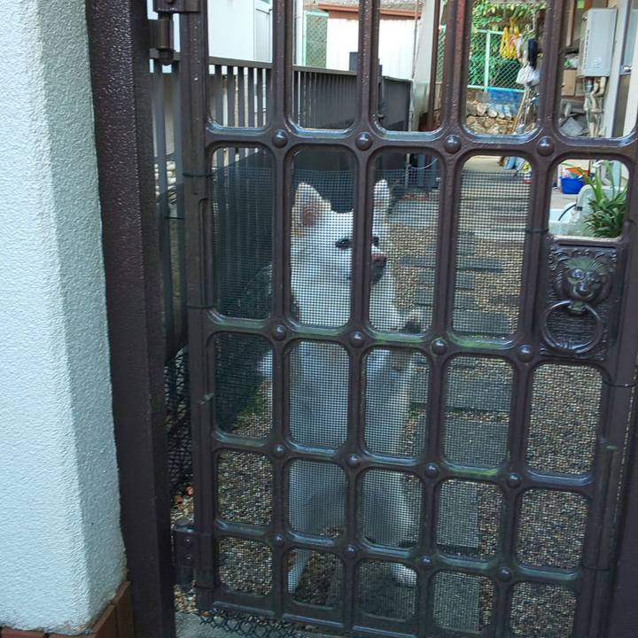 8b2c44b3 2082 480e bd53 bec1936a8ead 1607312279190