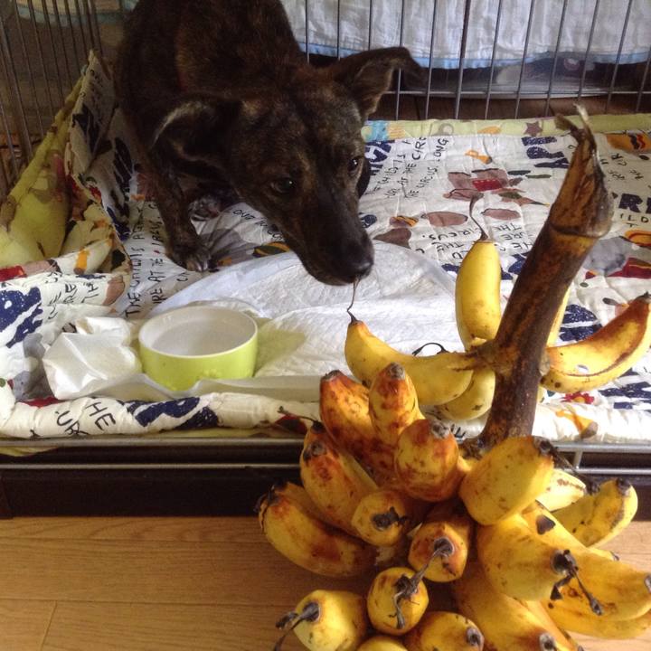 8b2c73fa 136e 49f7 83d5 aff83e0d83ed 1538286590847