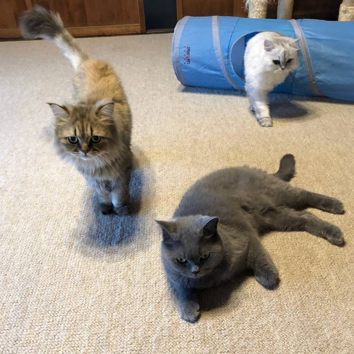 8b2c8798 d59a 49e3 8378 6ef267573475 1565391073612