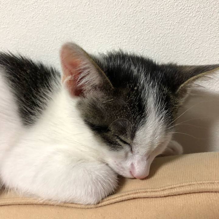 8b2c8bdf 82c8 486a ba59 0dbd955aeee1 1563538910915