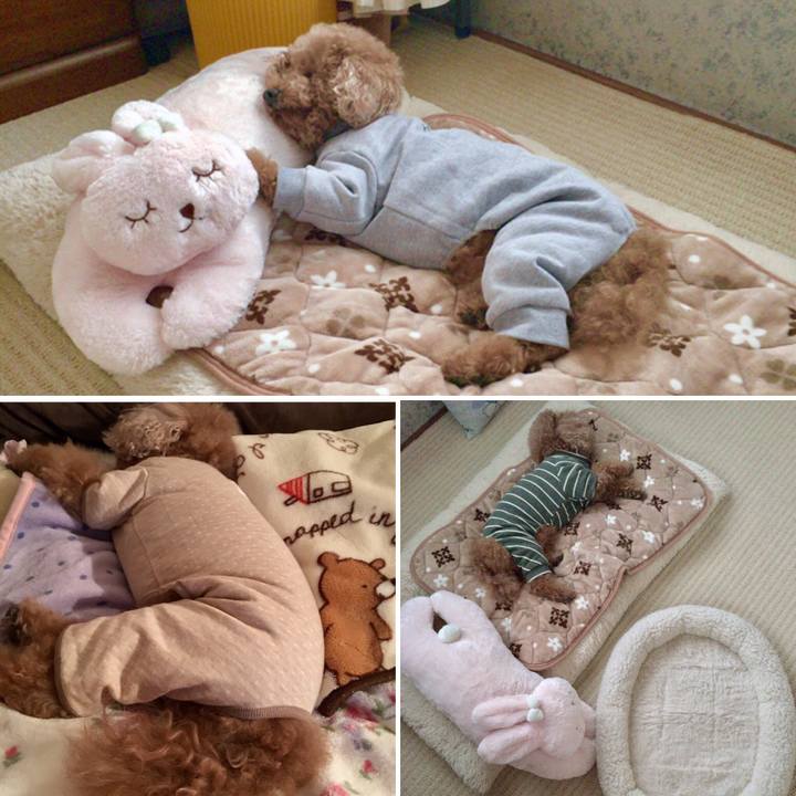 8b2ca9b5 81d5 4ffb ab97 71b8421622d7 1508068221544