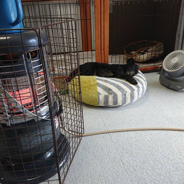 8b2cce30 eb74 4a6e 8857 bdb3dbd2dad9 1574473927344