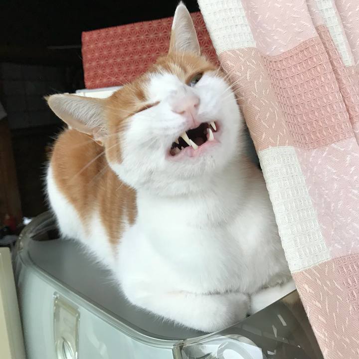 8b2d109d 38a7 476b 8a93 f7f9267e3d4a 1508451547900