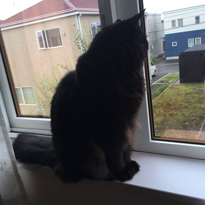 8b2d2d41 0cea 4b50 be63 7baf2e8e33f5 1533431269081