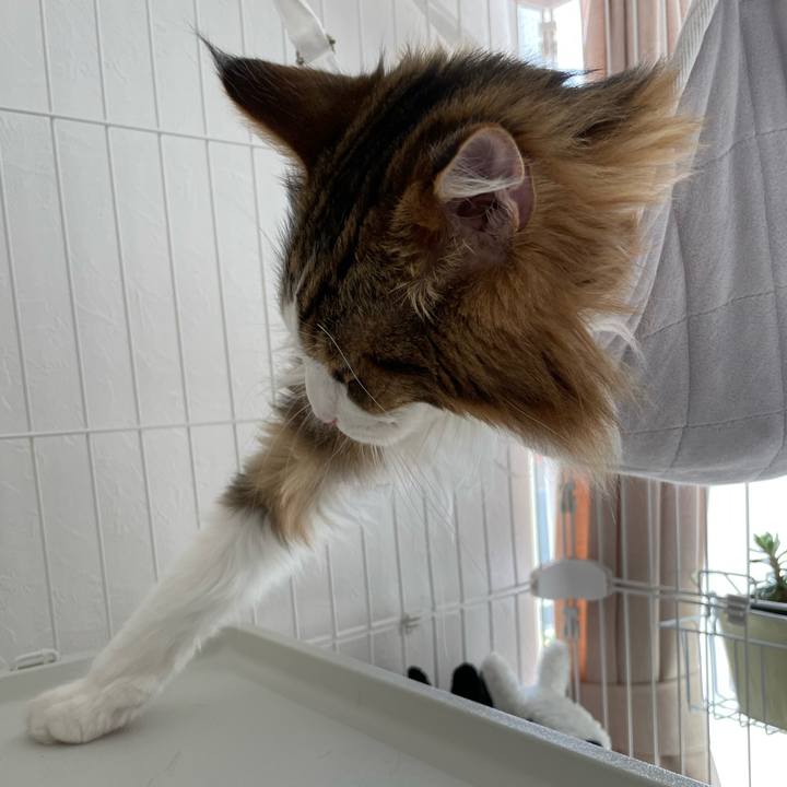 8b2d32c3 db44 4ad9 b0d1 dbdd9fc258a6 1665798764837