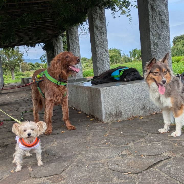 8b2d35f1 99e1 44b6 b372 e9d4520fe0e0 1755776444164