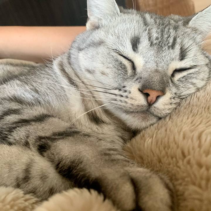 8b2d7480 7b80 4170 b693 5b9873f3bf5e 1670627747112