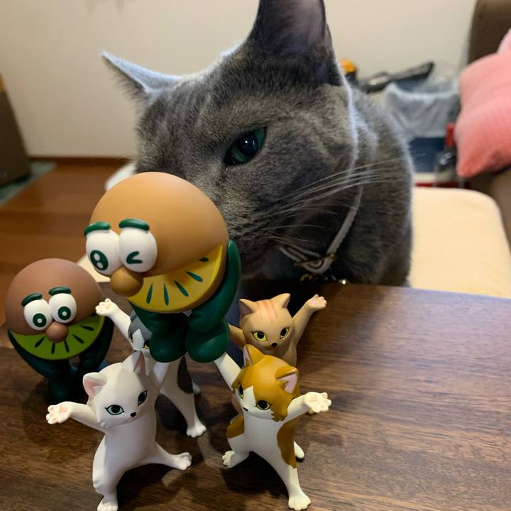 8b2da1c8 8134 4e3e a862 8e4077f48a7c 1624784990342