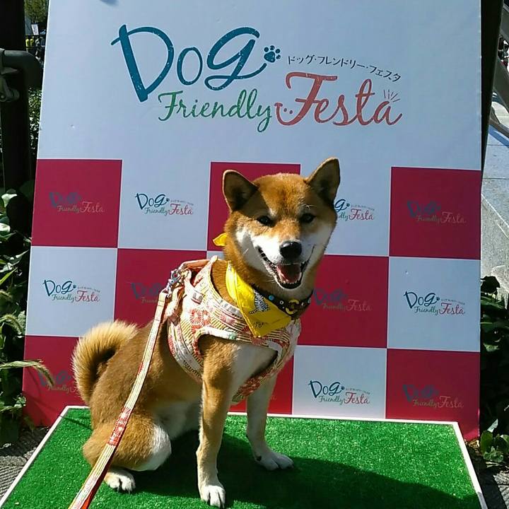 8b2ddd53 f1c9 41a0 a00c 21748c854bc1 1540110630255