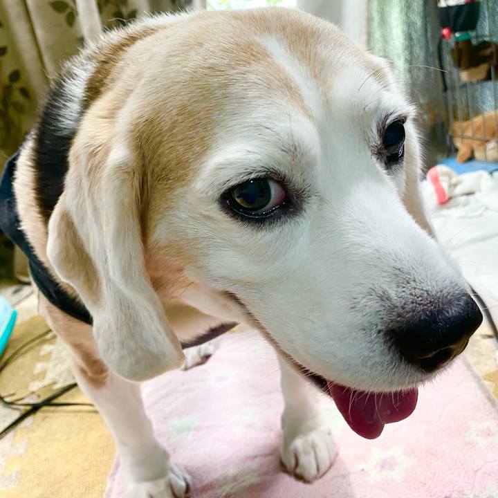 8b2df5e6 3bd7 4211 b634 dd3e02191046 1653622871738