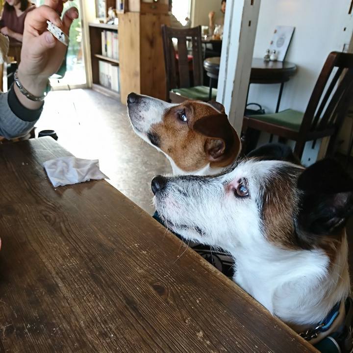 8b2e5ef2 7e7b 4916 8b63 e81243ce7d1e 1580384785325