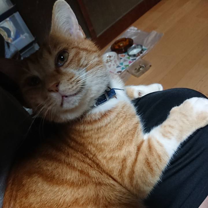 8b2ea9ce 78c3 4be1 bff5 d8e8b6d78be5 1606682345107