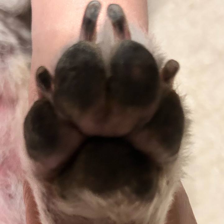 8b2ec90a 3416 4360 86be 743781cd64a7 1762418144786