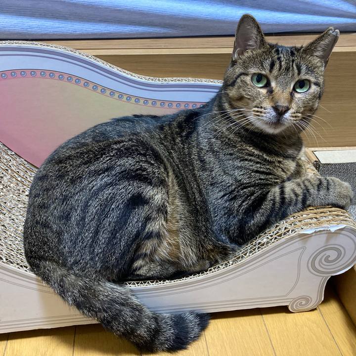 8b2ed4c0 2f6c 4d53 90a7 28b15b5ddeea 1662780798669