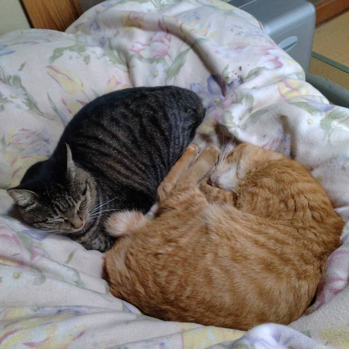 8b2f00bf 5b6c 4ebe 9433 1dda0fb49f91 1696837848031