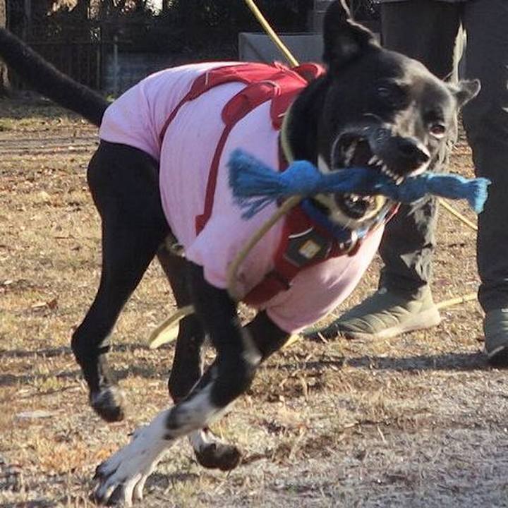 8b2f1c8f 06ff 449e 9e51 24625136258b 1675212535415