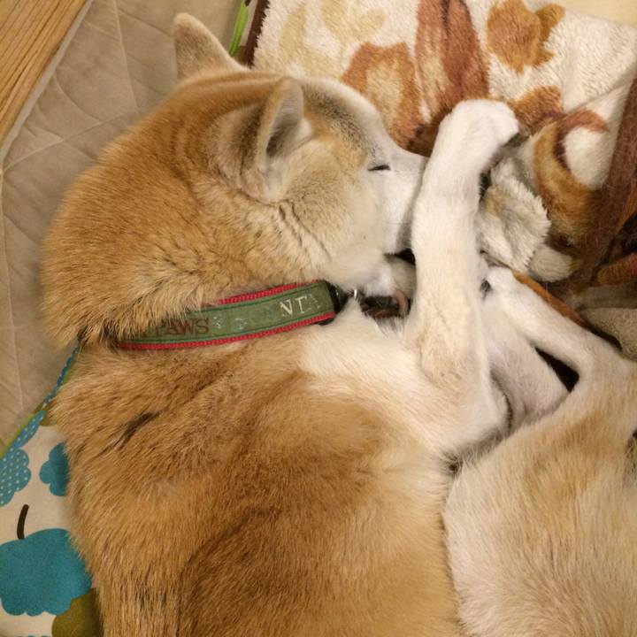 8b2f1c9f ad8f 4493 8af1 4af5513f4271 1578406574046