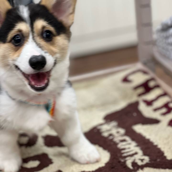 8b2f2dd0 ef89 4bc9 bc22 3341f122fbc3 1771159562349