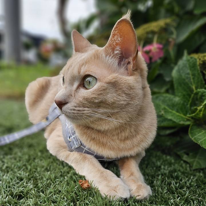 8b2f353a 6c2e 46c1 9e51 336a5c3ea50e 1696047877979