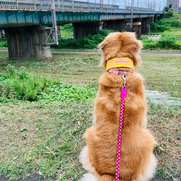 8b2f3f07 c14f 41bf 9fd8 a314539c4fec 1724926341208