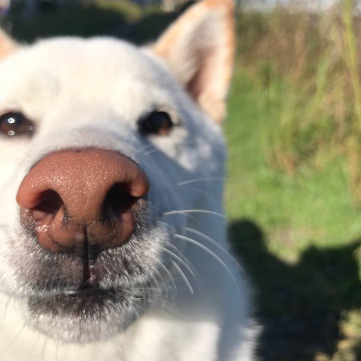 8b2f47f7 d62a 4a66 bbec 8a317449ad8e 1538441727333