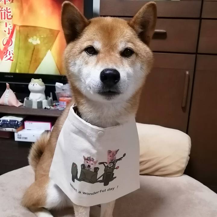 8b2f4963 7414 4a5c bd89 ee979f7cc708 1592565794652