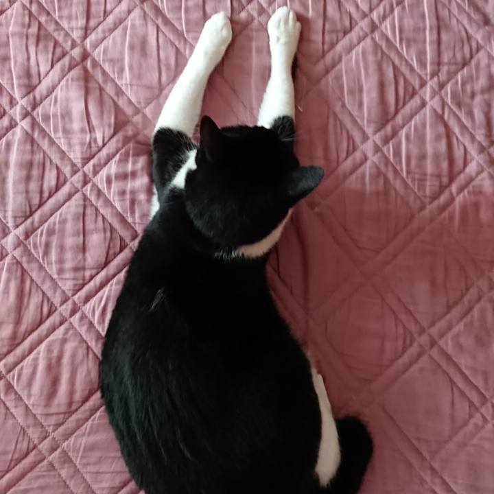 8b2f4f56 db43 42f6 ad94 e86a76351f0c 1652490198866