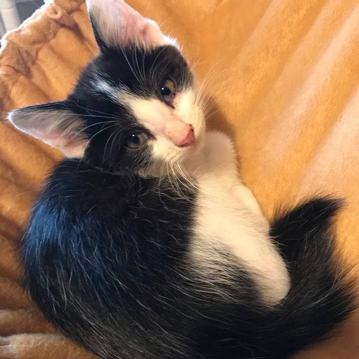 8b2f5fe8 1541 4513 94bb 3e920beae8e5 1595494301364