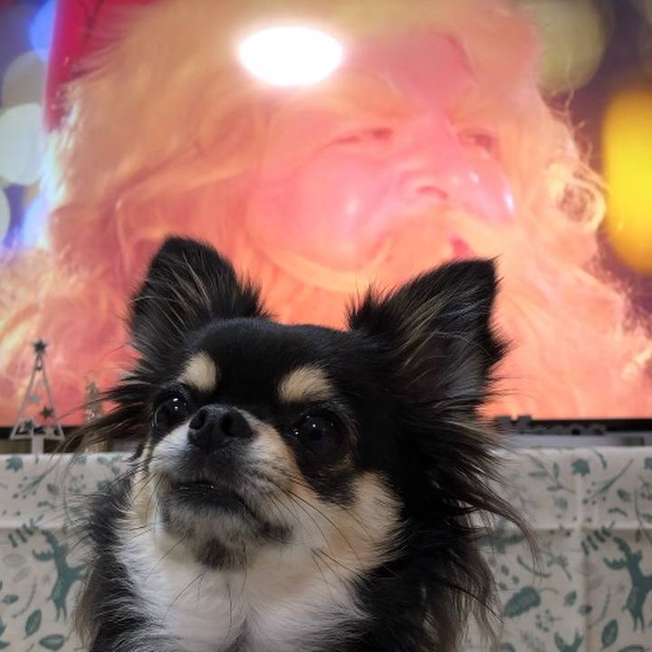 8b2f77d3 70a2 46bf a0d2 0433d954a64c 1576587676492