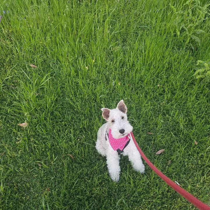 8b2f83bf 7dad 4fdb aa69 36b37daa6753 1557051062147