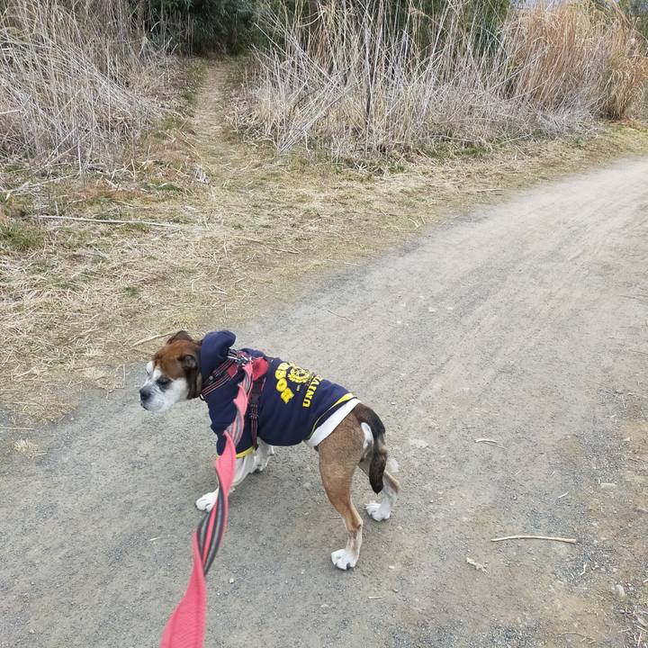 8b2f94a4 75bc 4cbc a088 c12a717c77a8 1646394887591