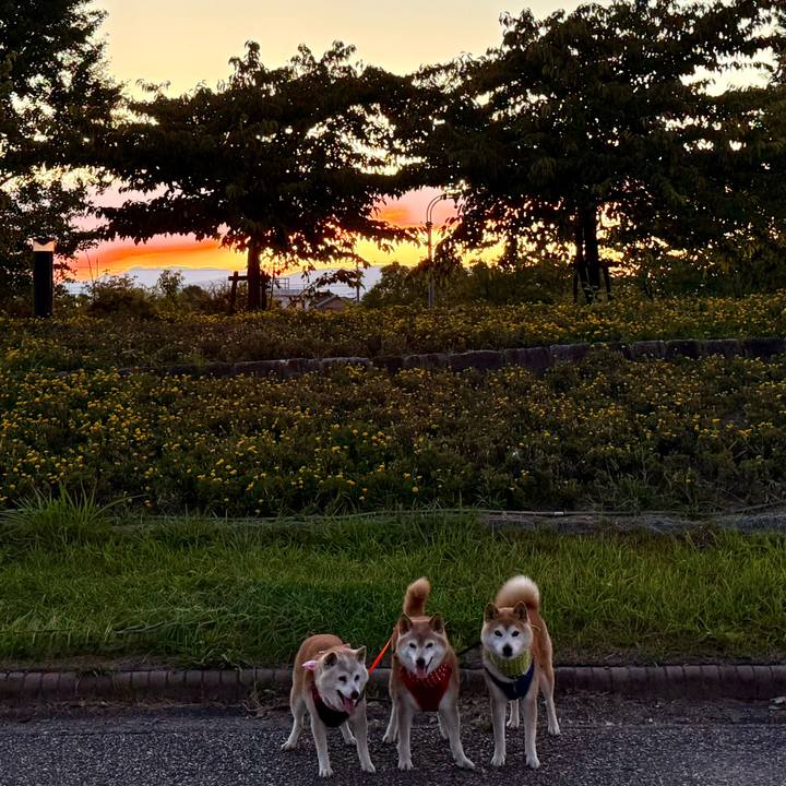 8b2f9bf1 6804 4fc8 b403 80b6c34d43a5 1756568755575