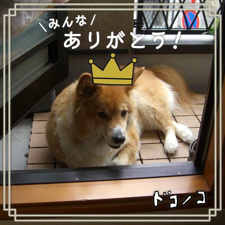 8b2fd813 4855 491a a332 ae1da12cf17b 1622885819054