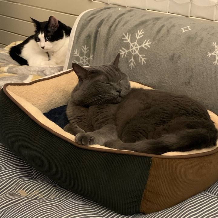 8b2fe453 7299 484c 957d 0e70eac97d1c 1676604570071