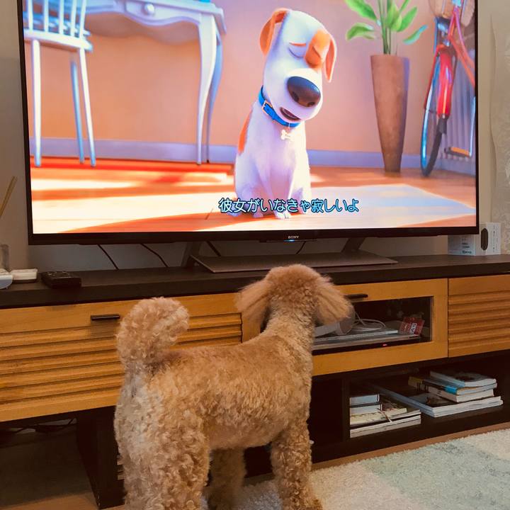 8b3001ae 3016 4c9c bdbe 1afef1b12f24 1523697945302