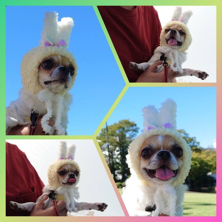 8b301708 446e 4cfa a933 54dd2d2326ac 1632181249565