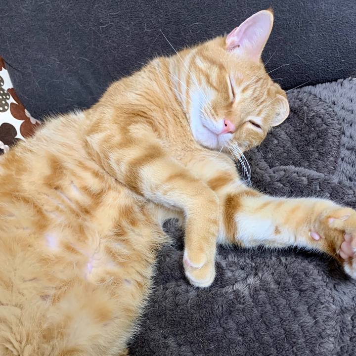 8b302204 d00e 4dca 9ff7 0969b879479a 1595766479461