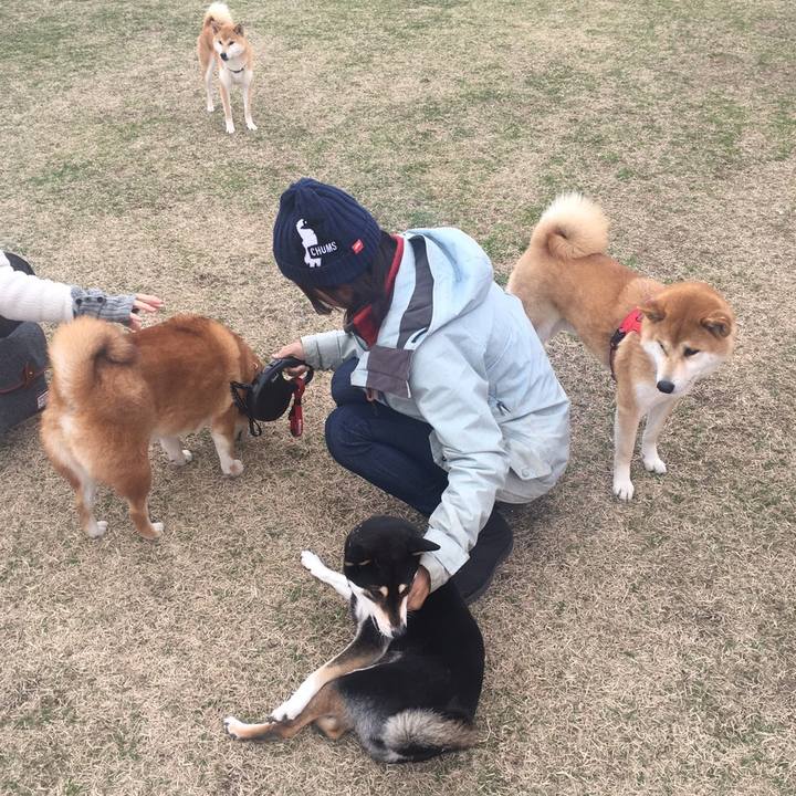 8b302b8c 1007 4398 b06d fa06ba87acbe 1577228559778